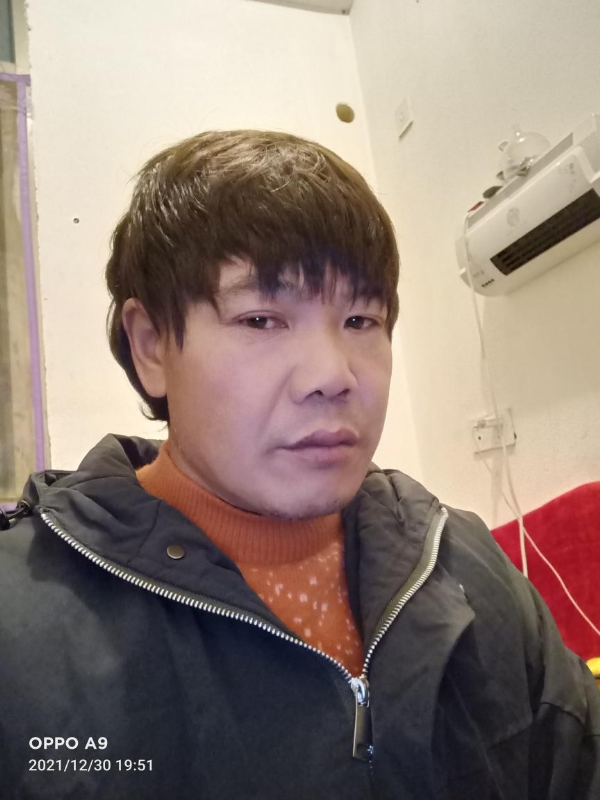 小鸟找窝的第一张照片--石狮婚介网