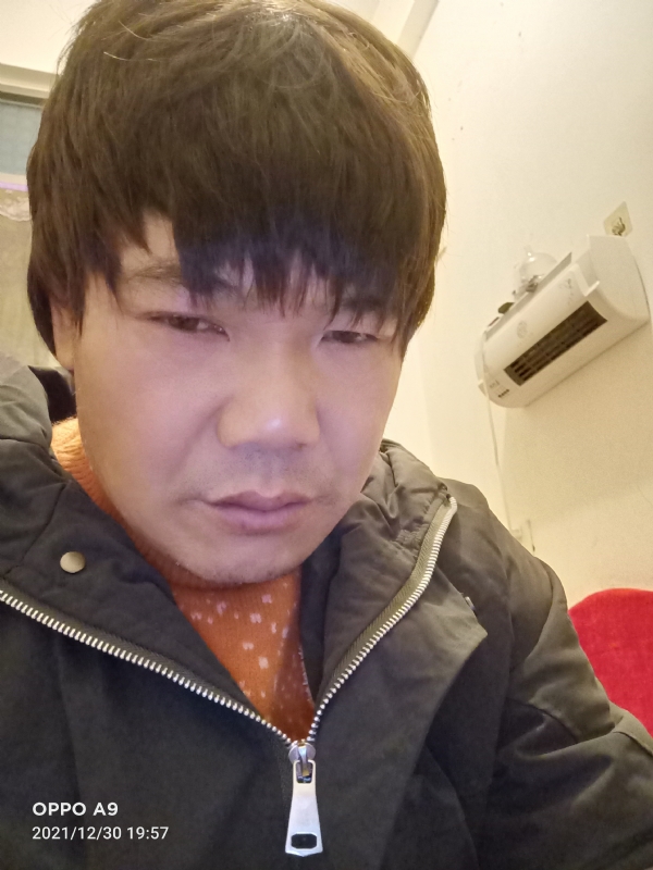 小鸟找窝的第二张照片--石狮婚介网